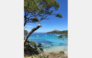 Croisière les Iles d'hyères au départ de Port Pin Roland (Toulon) 